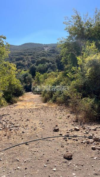 Foto 15004adb-cd09-457c-935a-bb7410bd6fe5. Rural plot in Güéjar Sierra