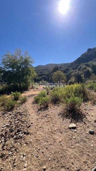 Foto 546ac054-63c9-456e-9d37-053be85c4846. Rural plot in Güéjar Sierra