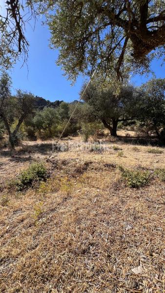 Foto 85843006-7830-4753-ba80-eb4a972ce5a1. Rural plot in Güéjar Sierra