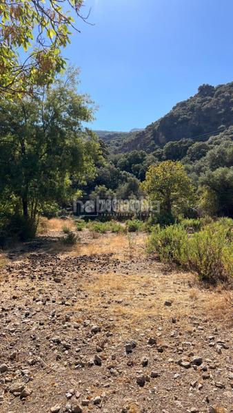 Foto d0feacfa-f570-47ec-bba7-541a8a3fe2b1. Rural plot in Güéjar Sierra
