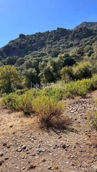 Foto f83d849a-0516-4fc1-b862-9921dd5bc3b4. Rural plot in Güéjar Sierra