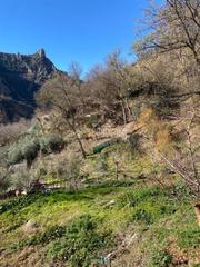 Finca rústica a Güéjar Sierra. Terrenos en venta en gejar sierra