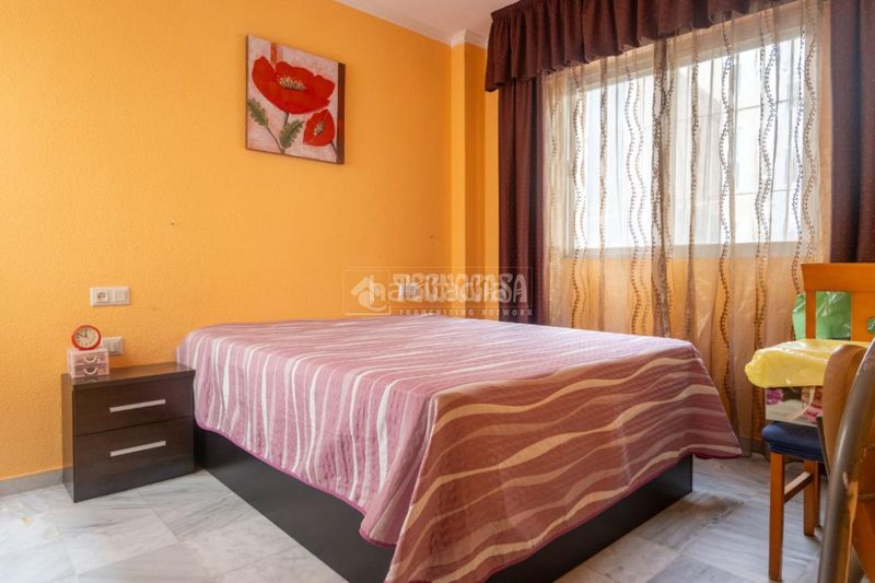 Foto c6ddde7f-bea7-4929-9271-b1f859b6533b. Pis a Cenes de la Vega