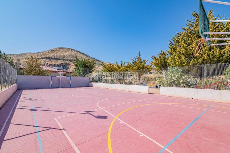 Foto 1ee4140e-e289-4187-abd3-9f2e45187d13. Pis a Cenes de la Vega