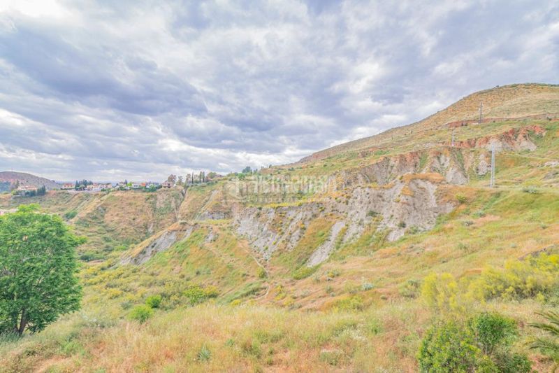 Foto cabd55e5-8bdd-44bf-a63c-3e0bf5f845e2. Pis a Cenes de la Vega