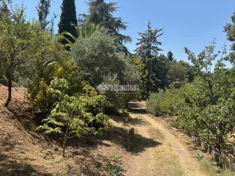 Foto bbff979f-5e2b-4db9-9b12-952cebc00494. Casa a Dúdar