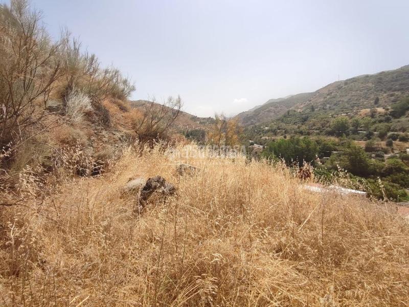 Foto 0bc066f2-b9cb-44fc-819a-f72d2357e064. Finca rústica terrenos en venta en Pinos Genil