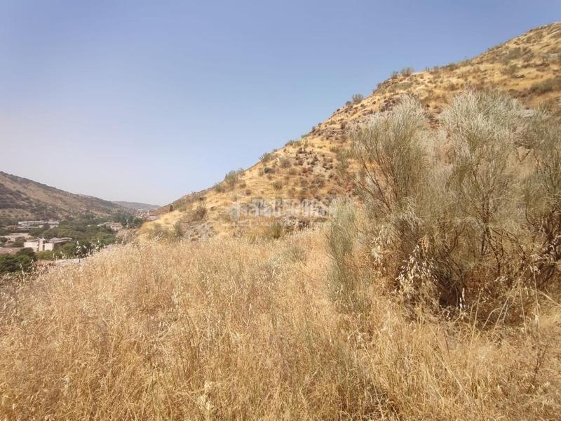 Foto 260bfd43-85a1-4456-94c8-456b2eba051f. Finca rústica terrenos en venta en Pinos Genil