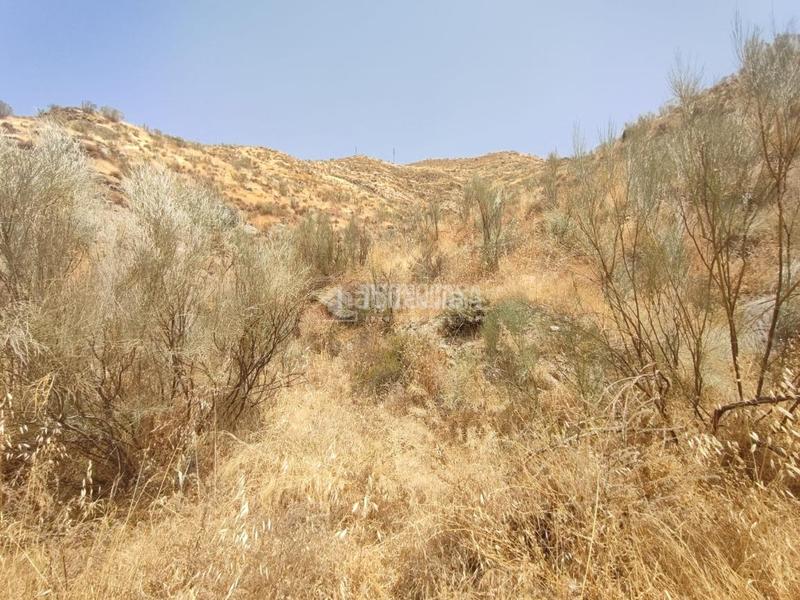Foto 39686fd3-f682-4549-b29b-42e8d8028a9d. Finca rústica terrenos en venta en Pinos Genil