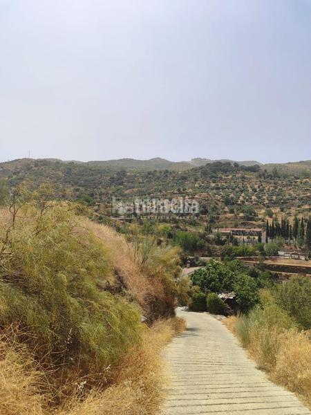 Foto 59013d2e-160d-46dc-86c5-201d1c336d95. Finca rústica terrenos en venta en Pinos Genil