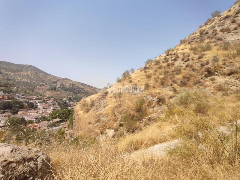 Foto 8a12f8d3-8e85-4e0f-bee8-8caebdc863fd. Finca rústica terrenos en venta en Pinos Genil