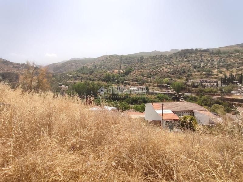 Foto c26b979a-b221-4f57-9d85-d79a60f3852b. Finca rústica terrenos en venta en Pinos Genil