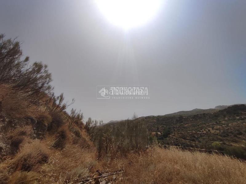 Foto d7d09eb0-3259-495b-96f3-7266eb853086. Finca rústica terrenos en venta en Pinos Genil