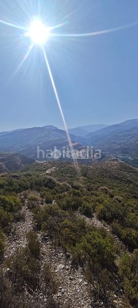 Foto 06e6653c-c49f-444d-8954-b5e00bbe8fe8. Finca rústica a Pinos Genil