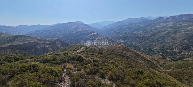 Foto 14ae6c9c-da2a-4498-a4c6-07c0c0557b90. Finca rústica a Pinos Genil