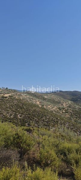 Foto 2b25e6c7-0ef9-40bd-ab5a-17ed828dbd73. Finca rústica a Pinos Genil