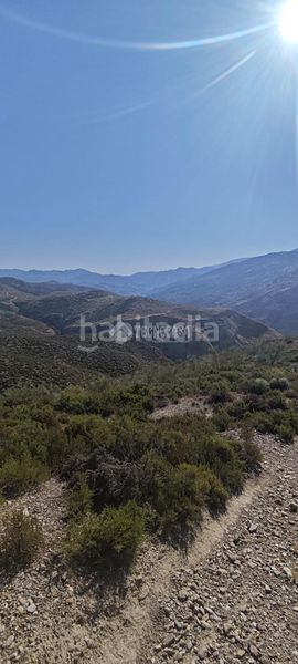 Foto 4a38a339-0e8d-44a2-a5e0-e30aa923c6c4. Finca rústica a Pinos Genil