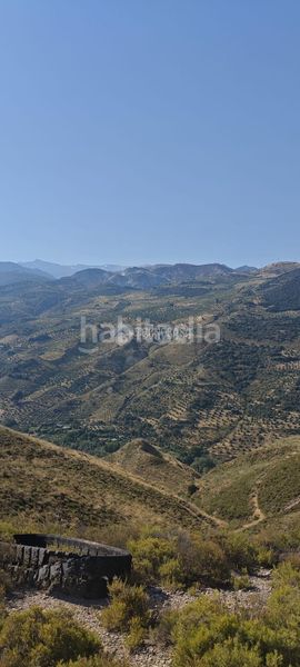 Foto 4f4a407d-045b-463f-abb7-812a2d4080e4. Finca rústica a Pinos Genil