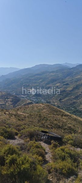 Foto 521505e0-4e6f-416d-9d7b-7918d23d2e6a. Finca rústica a Pinos Genil