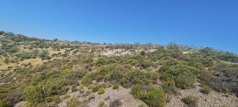 Foto 55797026-bc45-4258-94f7-99190a855378. Finca rústica a Pinos Genil