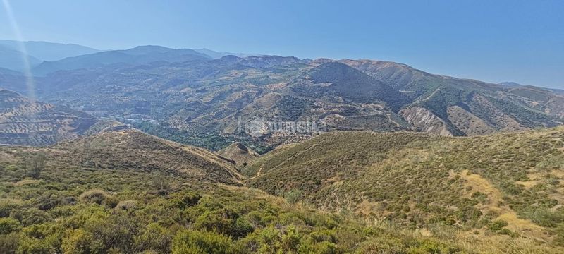 Foto 7800c92c-e1f9-451b-9fd8-92ae463c4135. Finca rústica a Pinos Genil