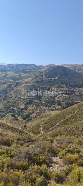 Foto 810e6d0b-c27d-49ea-a343-81793b579155. Finca rústica a Pinos Genil