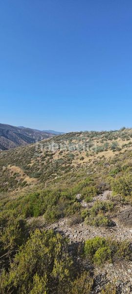 Foto b30adf5e-2be8-4850-b574-3141752af120. Finca rústica a Pinos Genil