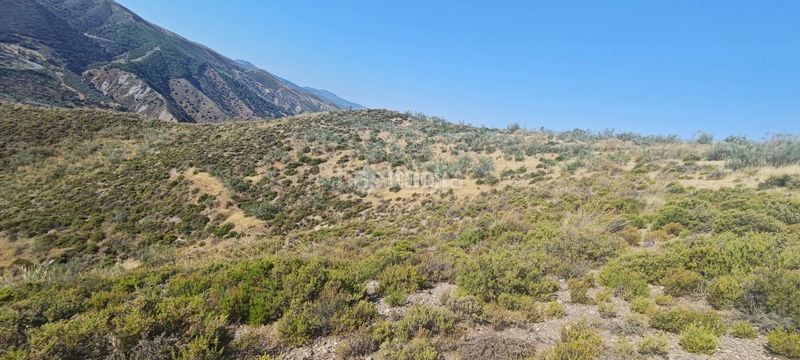 Foto bf76539d-132a-4029-8c9a-66609961d119. Finca rústica a Pinos Genil