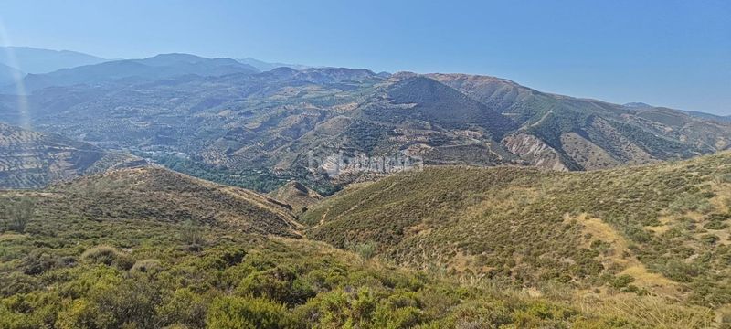 Foto c643e655-7541-42b6-b12a-b0a9a5a20aca. Finca rústica a Pinos Genil