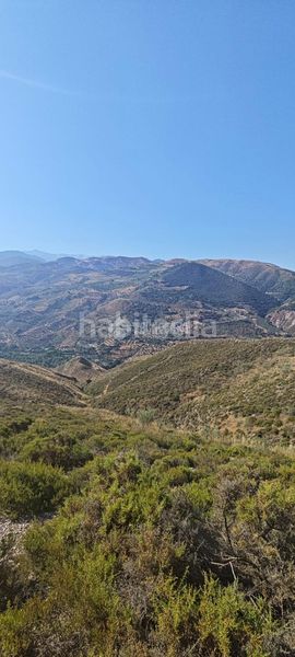 Foto d37bed9b-d6be-44a1-a443-3d02311101ee. Finca rústica a Pinos Genil