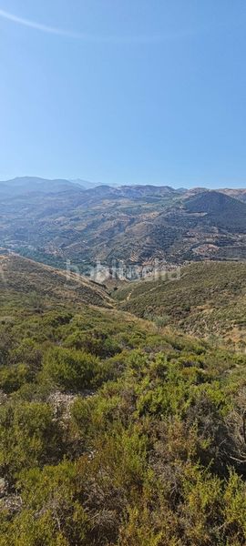 Foto dffad9f2-94f5-4867-832c-7d7bfdc7ca04. Finca rústica a Pinos Genil