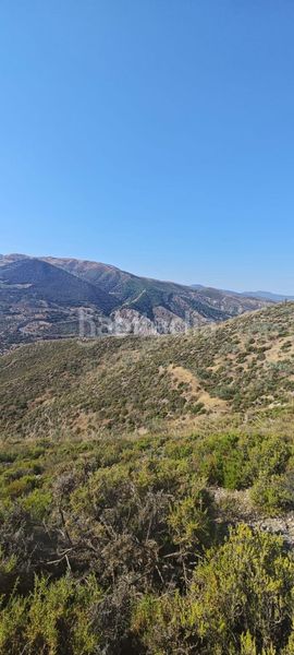 Foto edb50a3e-d5d2-4fdb-bc01-cc5f97d18bab. Finca rústica a Pinos Genil