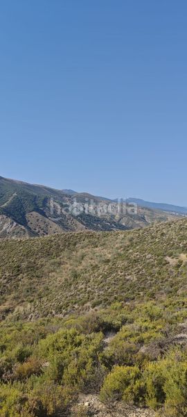 Foto ff02d025-ab37-4fc6-9934-30e54cf48a4c. Finca rústica a Pinos Genil