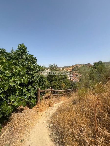 Foto 024d862c-dcc7-4260-ae07-40c7e55ceb26. Finca rústica a Quéntar