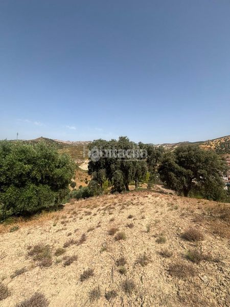 Foto 06fb5282-36d9-4714-a32e-32ef9e761259. Finca rústica a Quéntar