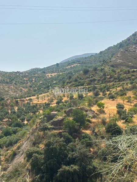 Foto 313b1715-aa6d-4e70-b4c9-d0fde8d9e23e. Finca rústica a Quéntar