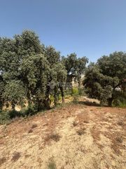 Finca rústica a Quéntar. Terrenos en venta en quéntar