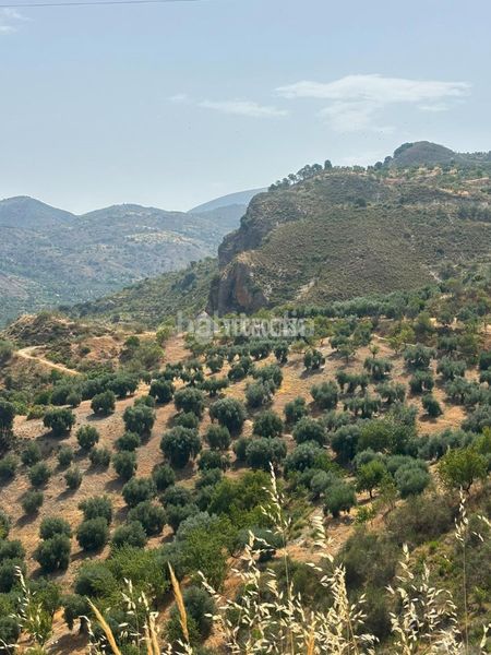 Foto 51b7cf7a-bec6-4759-aea2-7cdf486ca1db. Finca rústica a Quéntar