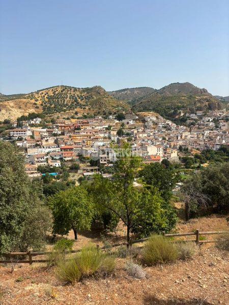 Foto 5ea31131-4e91-4548-a006-9aa01f293ed1. Finca rústica a Quéntar