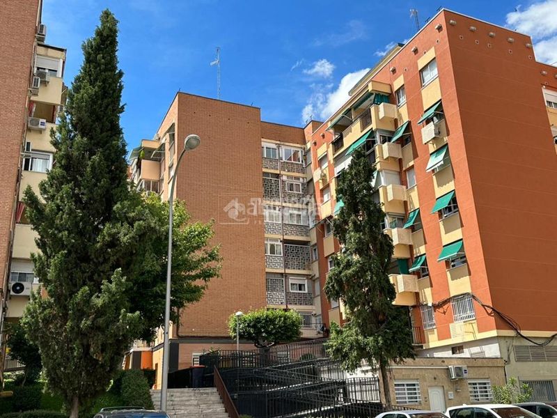 Foto 14640bef-f4b7-407a-9b2b-ccab34a2badd. Pis a Pinar del Rey Madrid