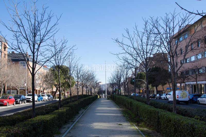Foto 61781fd6-3cdd-43f7-839c-70bbffc6b0ec. Pis a Pinar del Rey Madrid