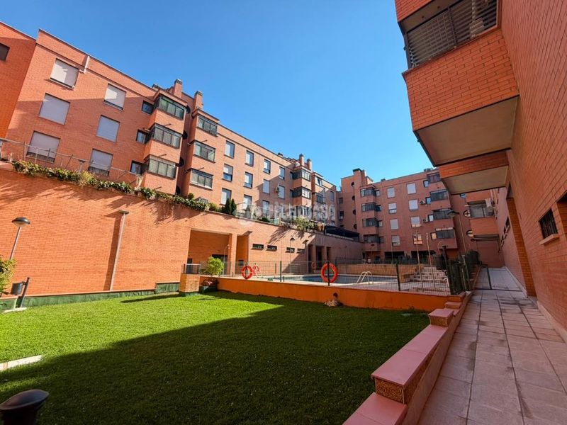 Foto a935a870-8b64-4c4b-aebb-5afdfce69890. Pis amb calefacció aparcament piscina a Pinar del Rey Madrid