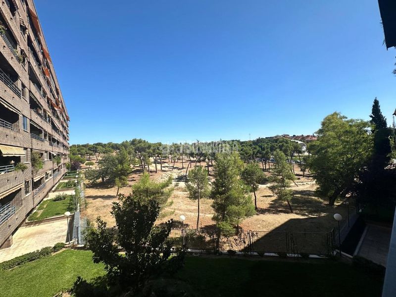 Foto c8ddc52e-b528-48a4-b673-ddb263d99ebc. Pis amb calefacció piscina a Pinar del Rey Madrid