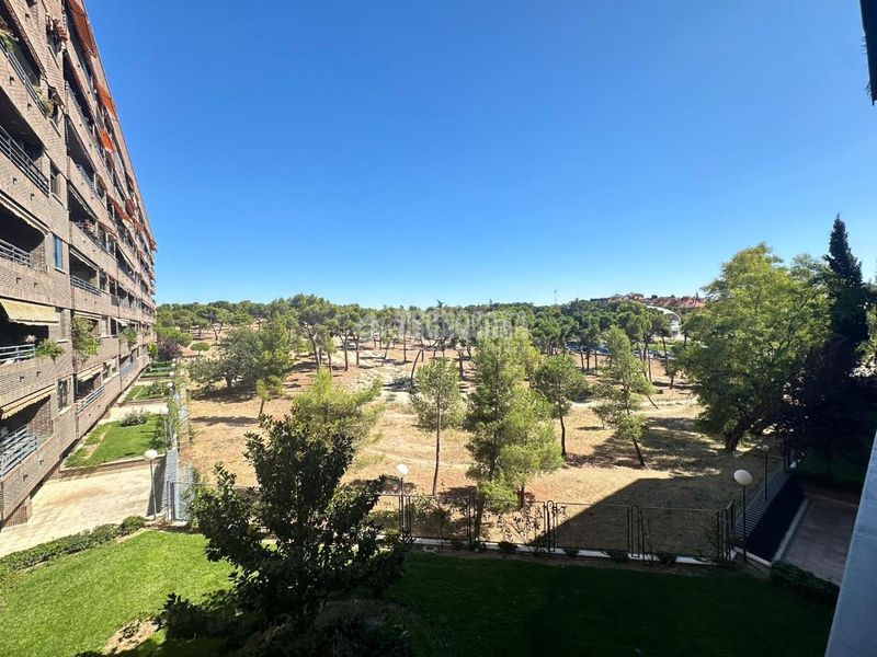 Foto e4538a27-9d54-4e64-aa41-224a4a8c54dd. Pis amb calefacció piscina a Pinar del Rey Madrid