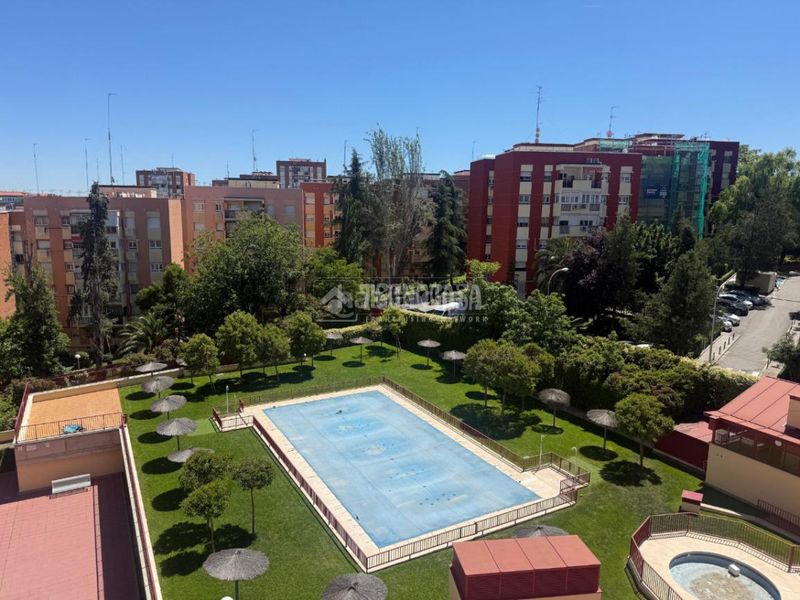 Foto 80fc8e8d-44f6-4a74-880e-fd6c4de36a07. Pis amb piscina a Pinar del Rey Madrid