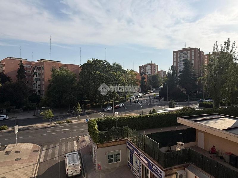 Foto 208c05e9-9c3e-4ddd-ba13-a3a258b5dca3. Pis a Pinar del Rey Madrid