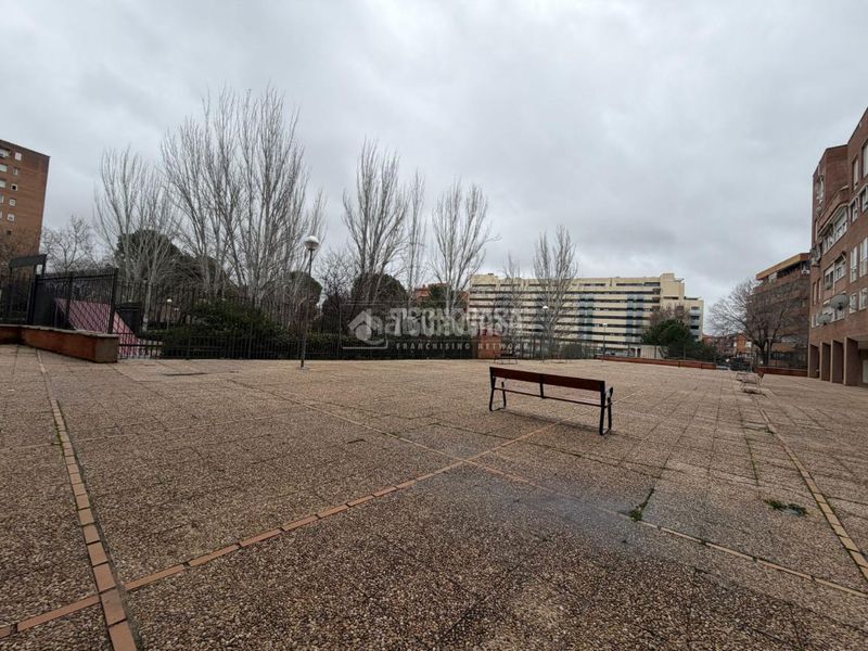 Foto 5b0a7027-9b0d-4949-833b-1bf7627bee81. Pis a Cañada - Mancha Amarilla Torrejón de Ardoz