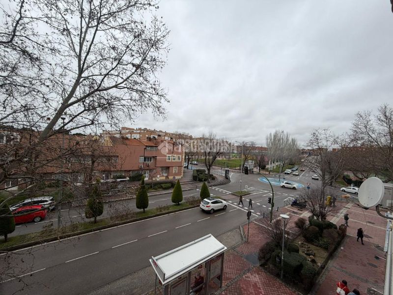 Foto 7bbdeadc-41e2-4cc9-b412-5cd39eb21718. Pis a Cañada - Mancha Amarilla Torrejón de Ardoz