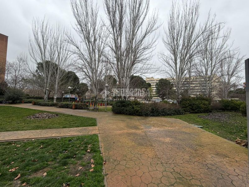Foto e1356c36-d601-4626-bee5-65793f5ae0ee. Pis a Cañada - Mancha Amarilla Torrejón de Ardoz