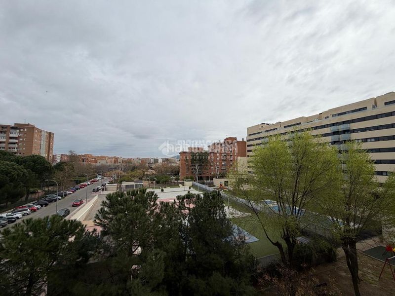 Foto d2b85a99-c7b5-483a-9176-a81265d163fb. Pis amb piscina a Cañada - Mancha Amarilla Torrejón de Ardoz